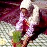 چرخ گردون  - قسمت دوم