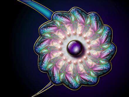 روابط فرم و فضا