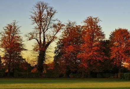عکس هاي زيباي پاييزي 24