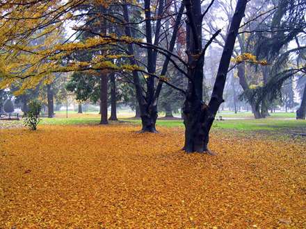 عکس هاي زيباي پاييزي 18