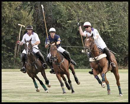 تصاوير زيبا از ورزش چوگان