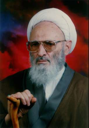 نجم الدين علامه حسن زاده آملي