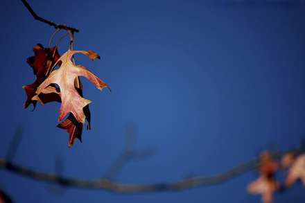 عکس هاي زيباي پاييزي 16