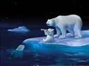 نقاشي خرس قطبي در حال نوشابه خوردن