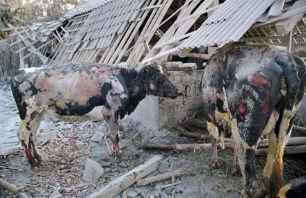 آسيب‌هاي ناشي از بلاياي طبيعي در اندونزي