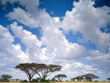 آسمان زيباي منطقه حفاظت شده ماساي مارا- کنيا