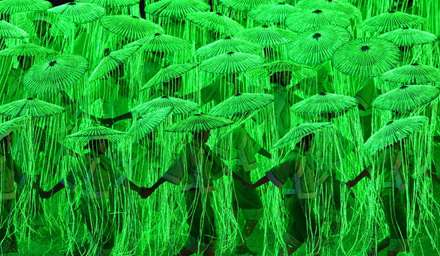 تصاوير افتتاحيه بازي هاي آسيايي سال 2010، کوانگ جو