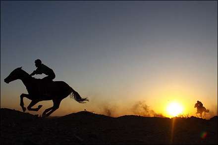 مسابقات سوارکاري در قنوات