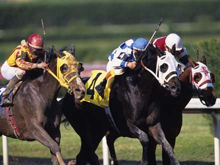 تصويري از سه سوارکار بر روي اسب در حال مسابقه اسب دواني