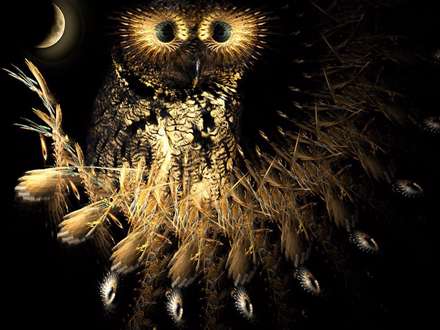 نقاشي جغدي در شب