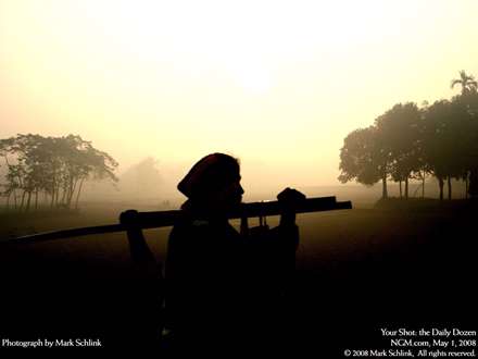 کشاورزي بنگلادشي