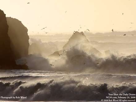 ساحل در هواي طوفاني