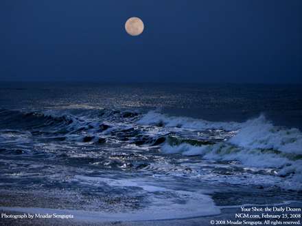 شب مهتابي و امواج دريا