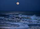 شب مهتابي و امواج دريا
