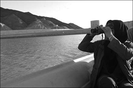 فعاليت مزرعه پرورش تمساح با حضور يک زن در چابهار