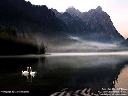 دو قوي زيبا در درياچه
