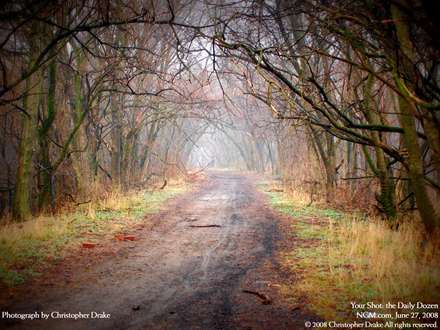 جاده جنگلي زيبا