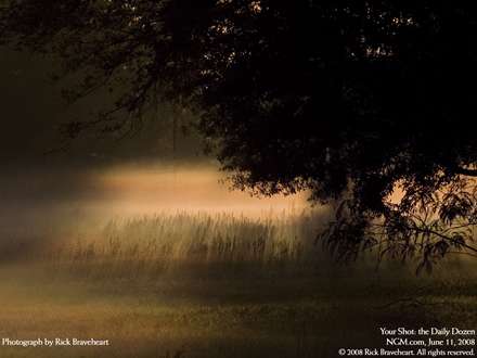منظره طبيعي در مه صبحگاهي