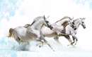 سه اسب سفيد در حال دويدن روي برف