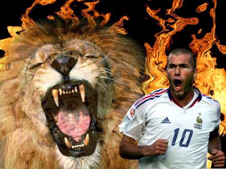 زين الدين زيدان