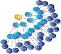 شرکت‌های هرمی دروغی بزرگ