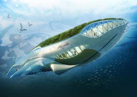 طراحي  باغ شناور  براي پروژه  Physalia