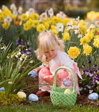 گزارش تصويري: بهار درکشورهاي مختلف دنيا(2)، آلمان