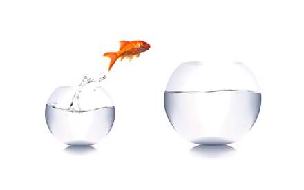 يک ماهي قرمز در حال پريدن از يک تنگ بلور به ديگري