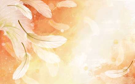 والپيپر (کاغذ ديواري) با زمينه تعدادي پر