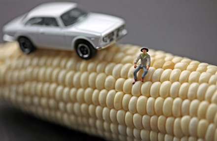 دنياي ما انسانها در مقياسي متفاوت