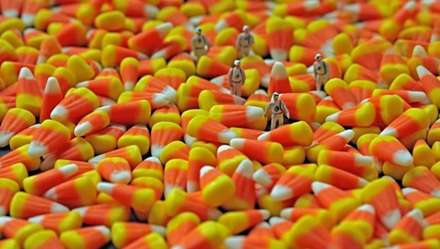 دنياي ما انسانها در مقياسي متفاوت