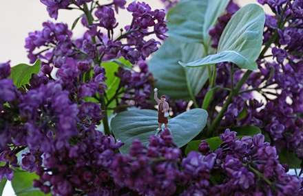 دنياي ما انسانها در مقياسي متفاوت