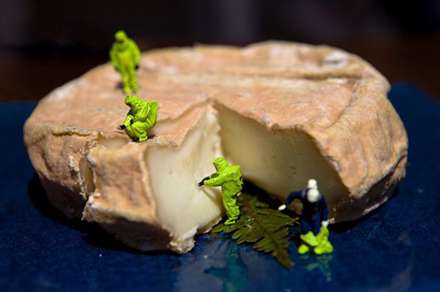 دنياي ما انسانها در مقياسي متفاوت