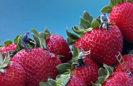 دنياي ما انسانها در مقياسي متفاوت