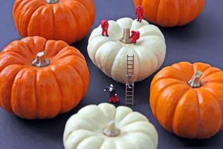 دنياي ما انسانها در مقياسي متفاوت