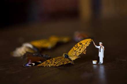 دنياي ما انسانها در مقياسي متفاوت