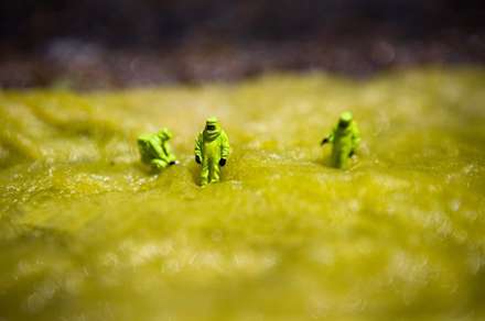 دنياي ما انسانها در مقياسي متفاوت