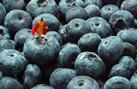 دنياي ما انسانها در مقياسي متفاوت