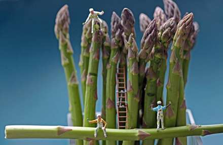 دنياي ما انسانها در مقياسي متفاوت