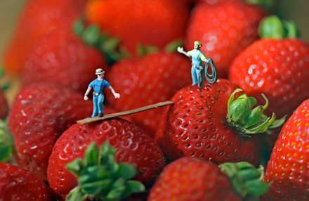 دنياي ما انسانها در مقياسي متفاوت