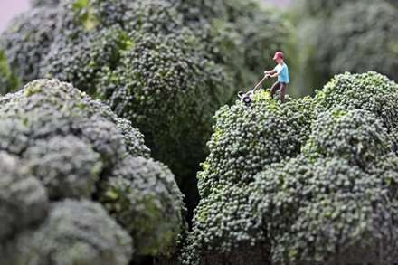 دنياي ما انسانها در مقياسي متفاوت