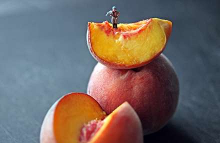 دنياي ما انسانها در مقياسي متفاوت