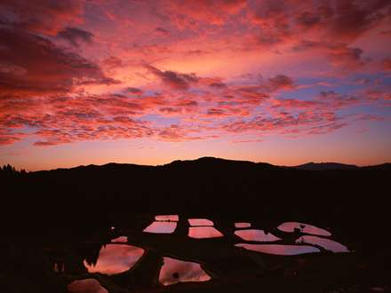 تصویری از زمینهای زراعی در حال غروب