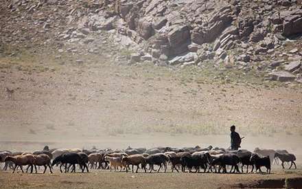 طبیعت و عشایر دشت لار