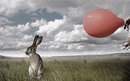 تبلیغات پیرامون آسیب های کره زمین، ترکاندن بادکنک کنار گوش خرگوش