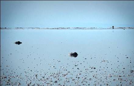 گزارش تصویری از خشکسالی دریاچه ارومیه