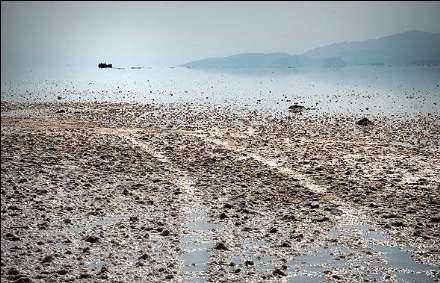 گزارش تصویری از خشکسالی دریاچه ارومیه