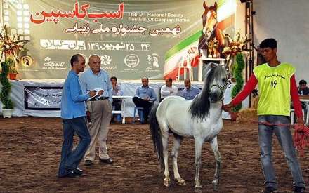 نهمین جشنواره ملی زیبایی اسب کاسپین