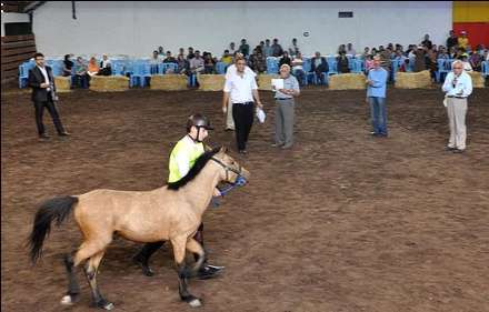 نهمین جشنواره ملی زیبایی اسب کاسپین
