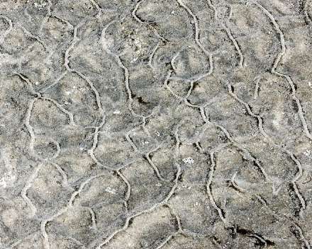 طرح های شگفت انگیز در ماسه های بیابان